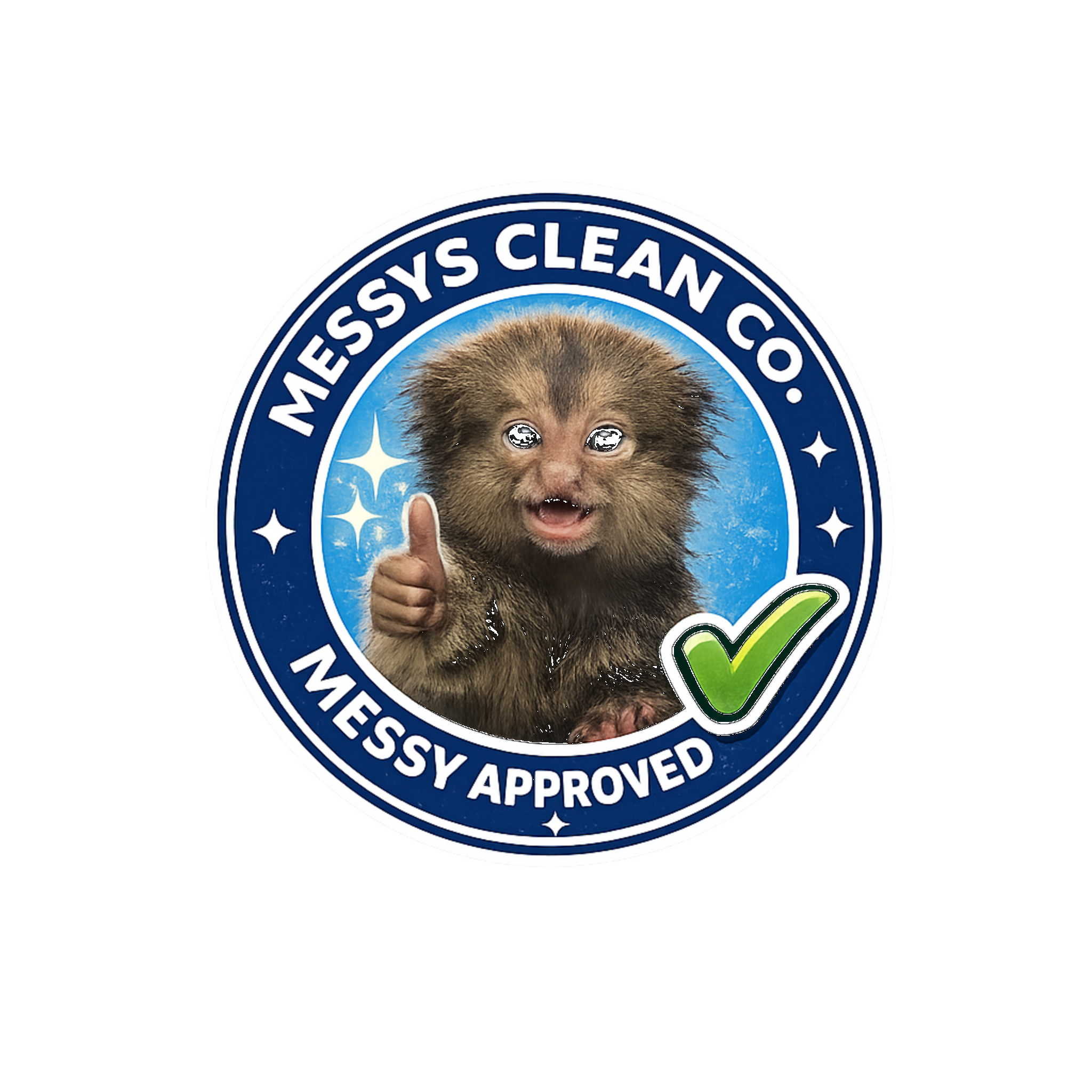 Messys Clean Co Logo